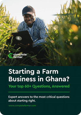 Starting a Farm Business in Ghana