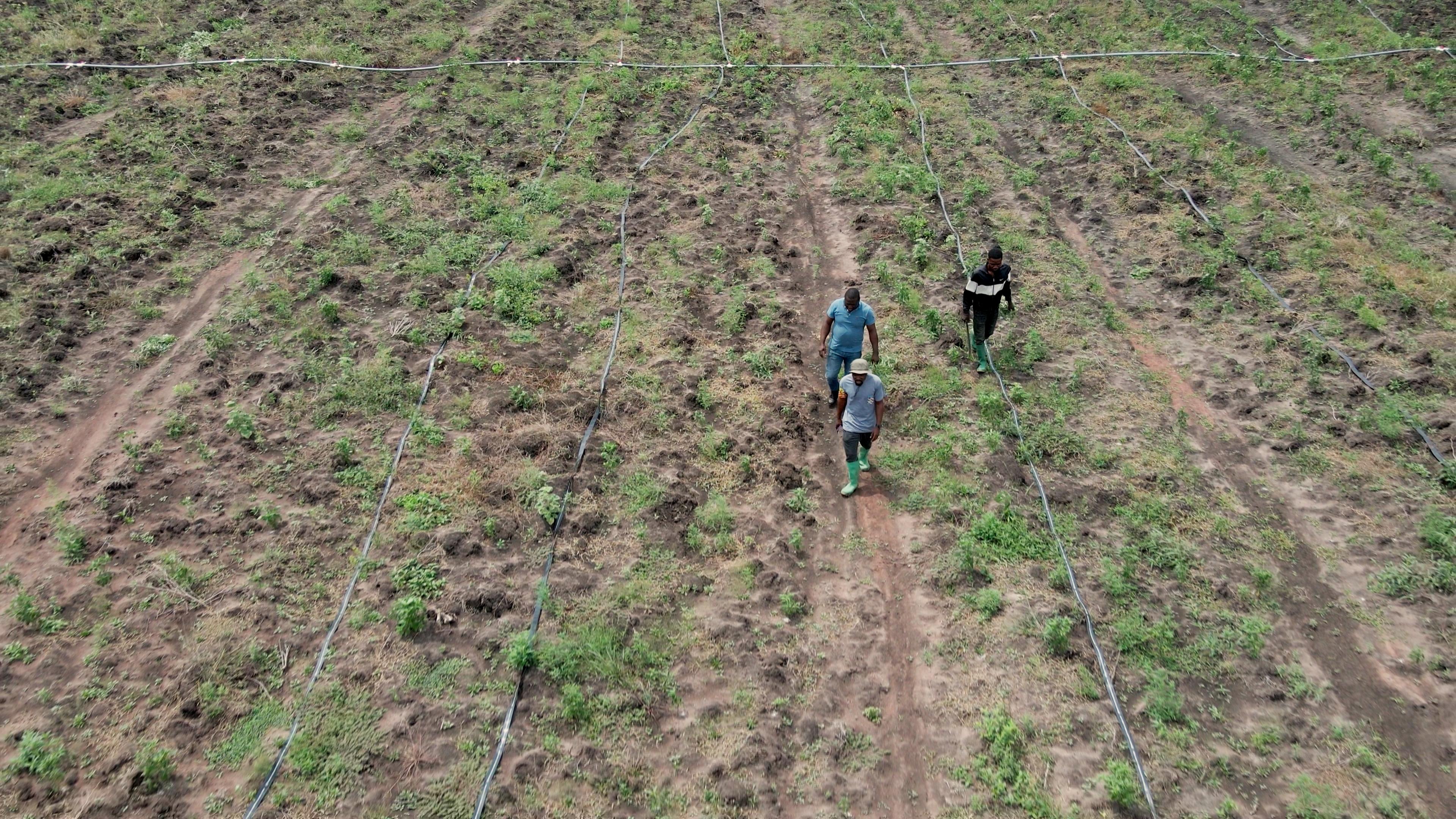Aerial view of managed farmland with irrigation lines and farmers walking the rows.