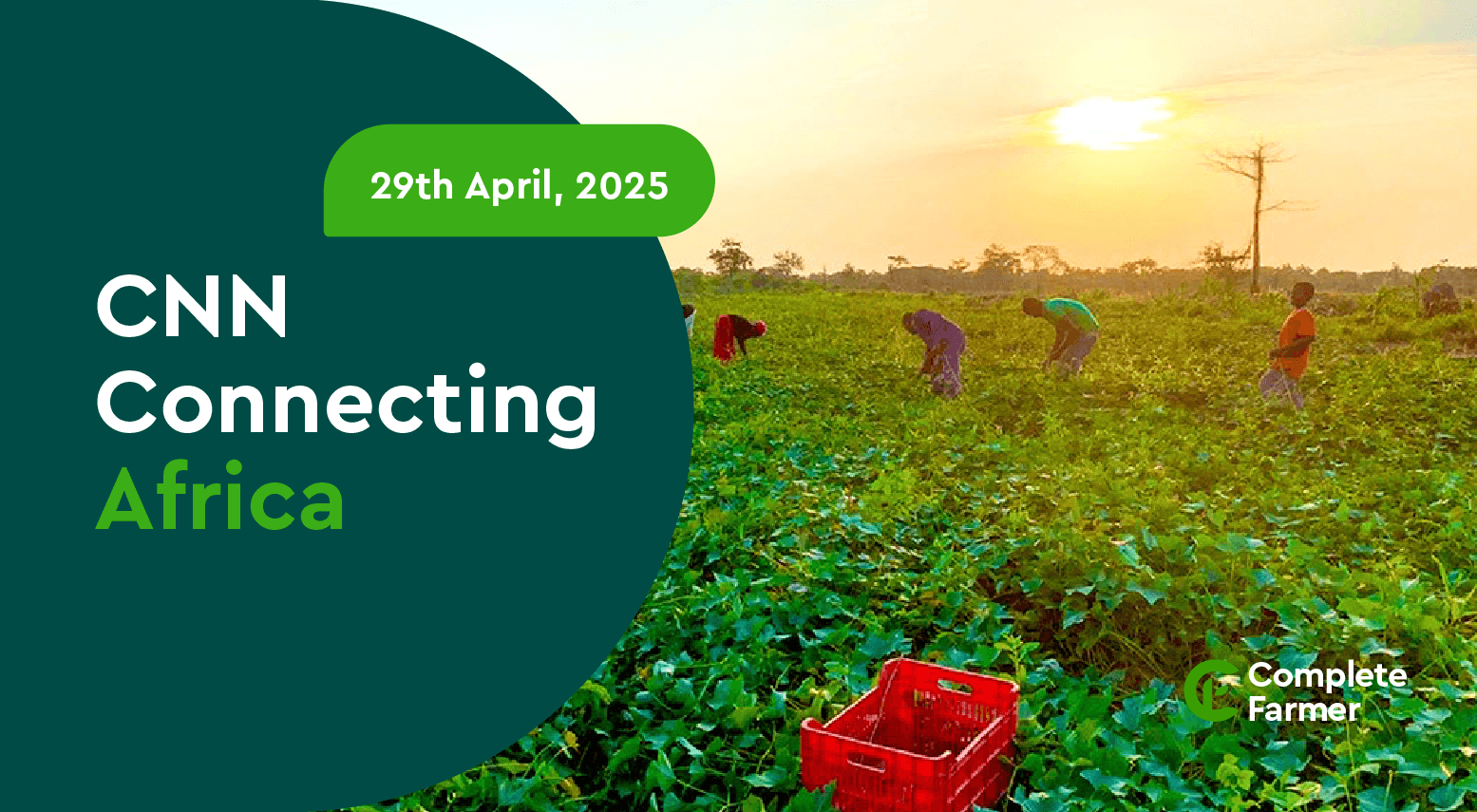 Tackling the real challenges farmers face across Africa's agricultural value chain.