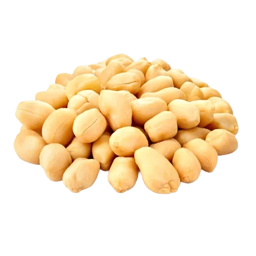 Groundnut